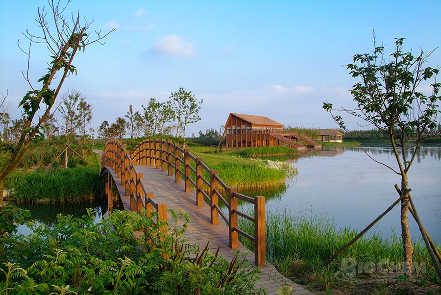 上海市崇明东滩湿地公园